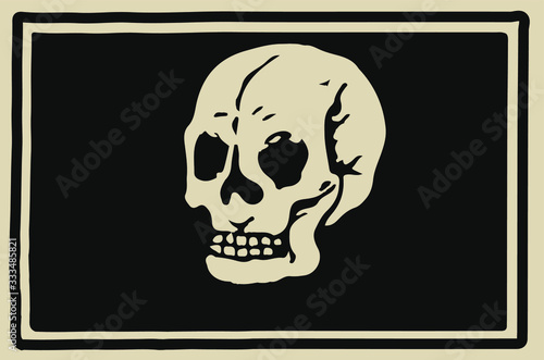 Skull drawing on black background, handmade. Anatomical.