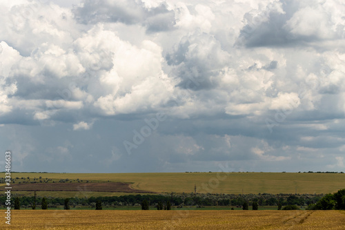 Wheat fields before the rain. Cumuliform cloudscape on blue sky. The terrain in southern Europe. Fantastic skies on the planet earth. The sun is hidden. Panorama.