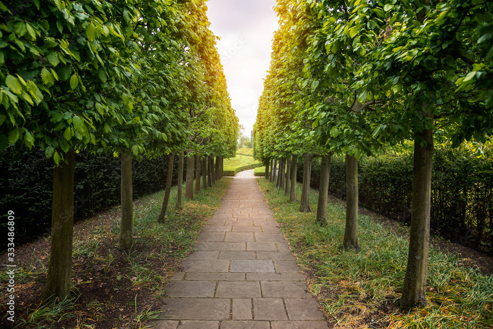 Empty narrow path lined with trees and hedges in  public park on a spring day