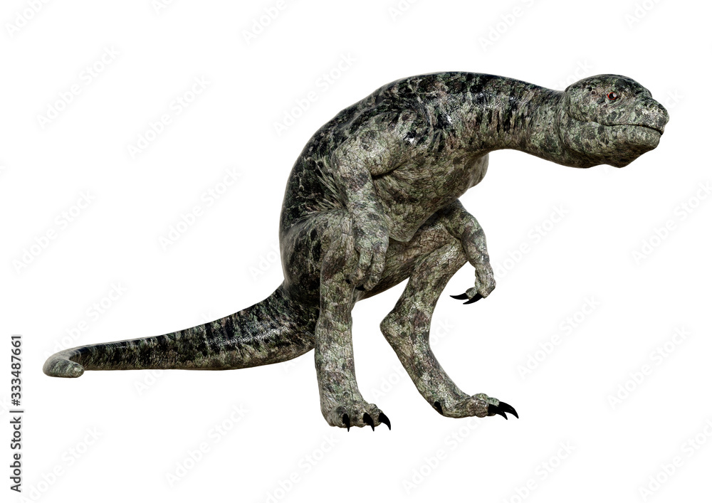 3D Rendering Dinosaur Tyrannosaurus Hatchling on White 3D Rendering Dinosaur Tyrannosaurus Hatchling on White