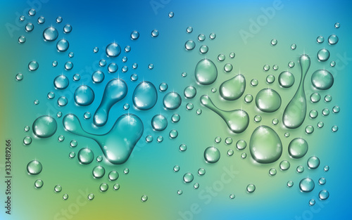 Water rain drops or condensation over blurred green nature background beyond the window  realistic transparent 3d vector illustration  easy to put over any background.