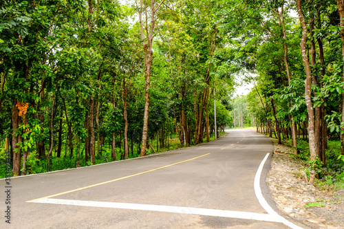 Single road in upcountry with nature beside