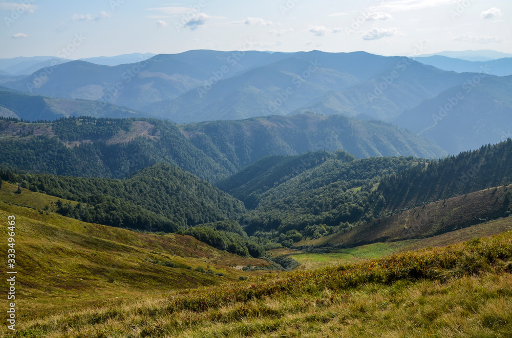 Fototapeta premium Aerial view above in the mountains and meadows. Beautiful landscape on a summer day. Carpathian of Ukraine. Holidays in the mountains.