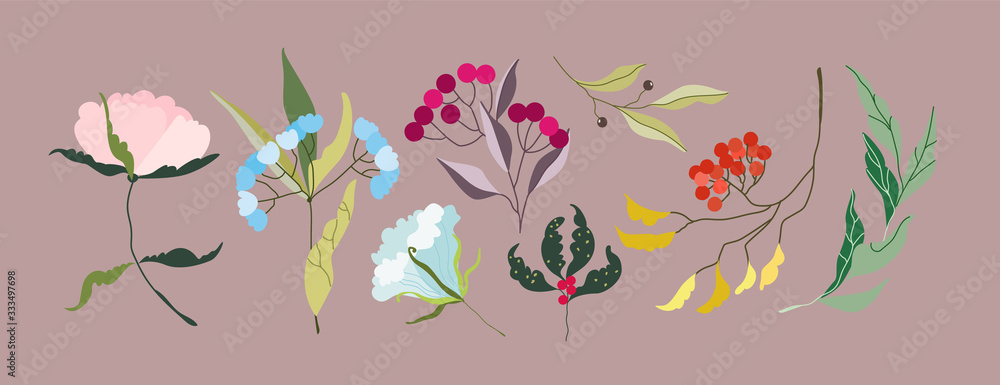 Vector Flowers. Elegant soft feminine branches and flower heads. Variety of garden botanics for web, app, pattern and logo design. Modern hand drawn illustration. Vector Flowers. Elegant soft feminine branches and flower heads. Variety of garden botanics for web, app, pattern and logo design. Modern hand drawn illustration.