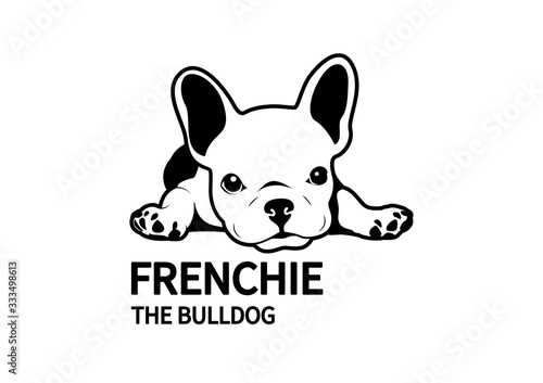 Cute lazy french bulldog lies down on the floor. Design in black & white style.