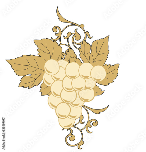 BUNCH WHITE AND BLACK GRAPES SET PROSECCO AND AMARONE UVA GRAPES WINE RED VINTAGE VINEYARDS GRAPPOLO VITE VIGNA