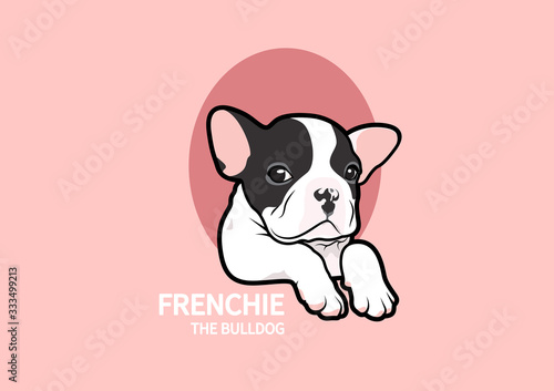 Cute french bulldog puppy pose at the small open tunnel in pink background. How adorable he is.