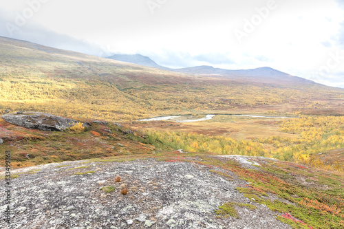 Mountain landscape with cotton-grass in Sweden national park Sarek around the Royal track in stormy weather. selective focus