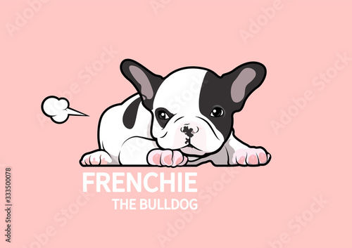 Cute black and white french bulldog puppy, She is sulking and then farts to relax her mood in pink background.
