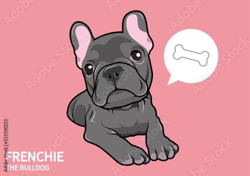 Cute Blue French Bulldog is Waiting for Someone to Feed Him.