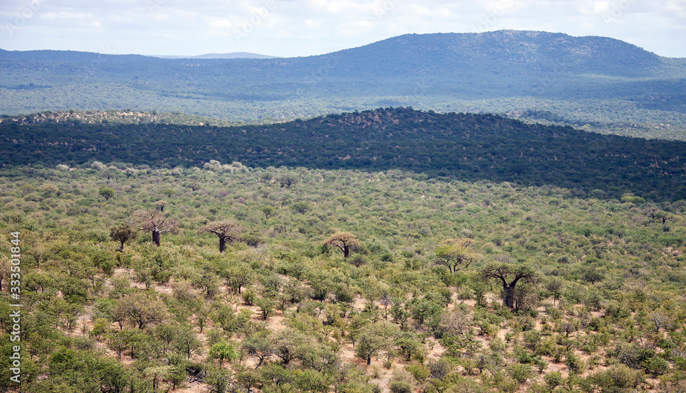 Green hills of Africa with the Savannah and the baobab trees. Green hills of Africa with the Savannah and the baobab trees.
