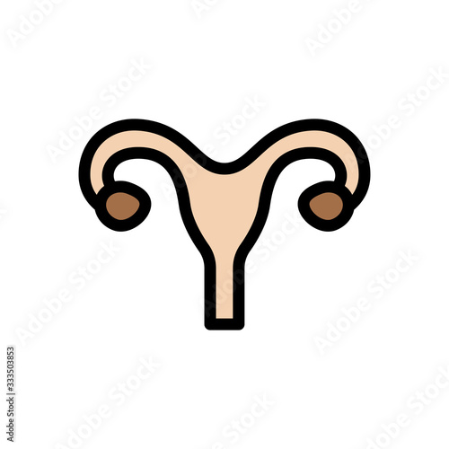uterus