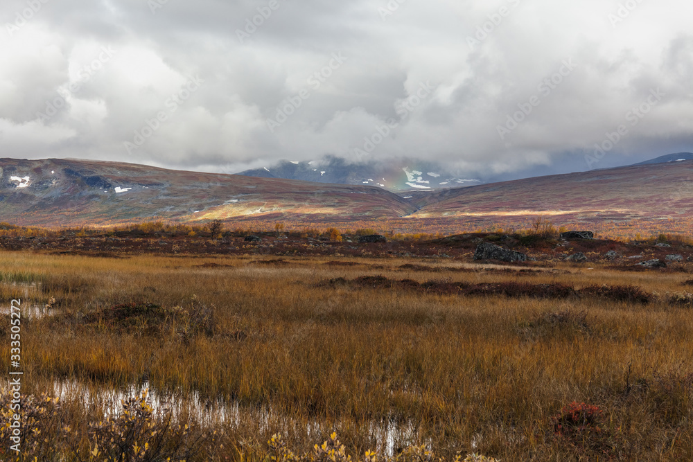 View to Sarek National Park in autumn, Sweden, selective focus View to Sarek National Park in autumn, Sweden, selective focus