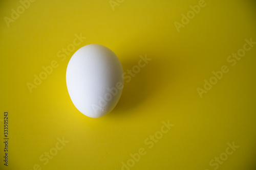 white egg on yellow background