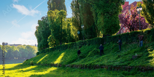 Fotografie group of people scything the grass on a hump