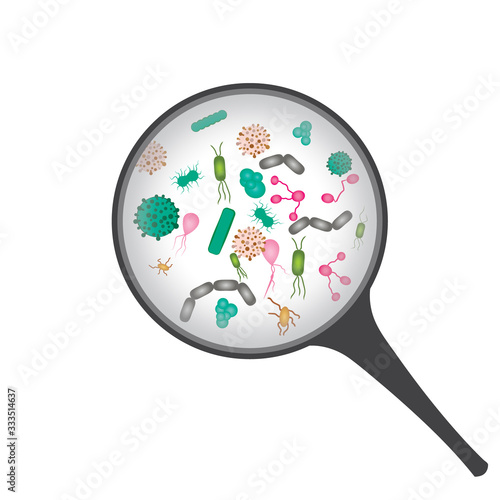 Microbes under a magnifying glass