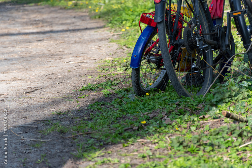 cycling in the countryside child and adult bikes together 