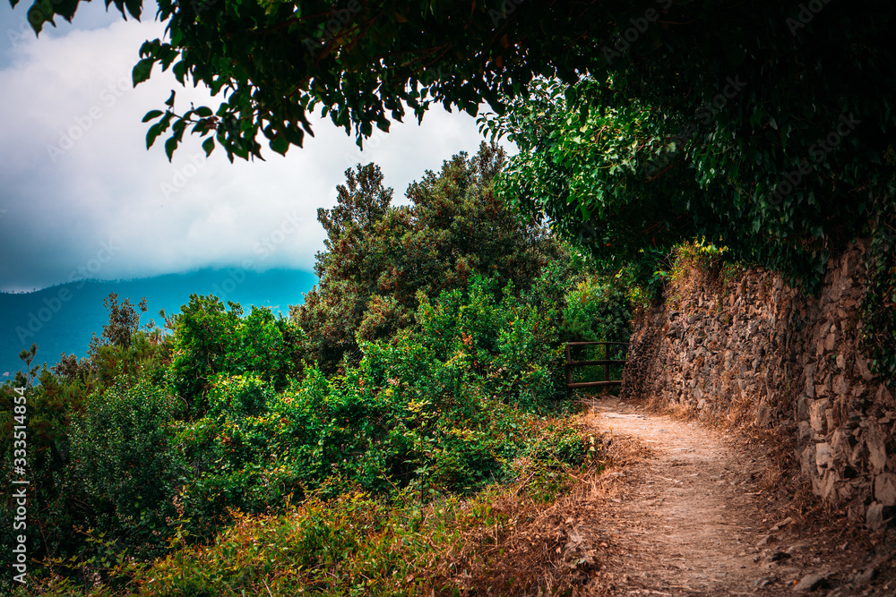 Obraz premium Beautiful wide panoramic view of Mediterranean turquoise sea visible from the hiking Cinque Terre trail from Vernazza to Monterosso al Mare in Italy. 