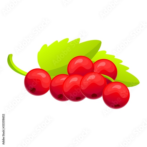 Red currant berry icon. Cartoon of red currant berry vector icon for web design isolated on white background