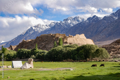 Ruin of stone city, Tashkurgan. Green pasture in the foreground na d mountains in the background of the fort. Near Kashgar, China