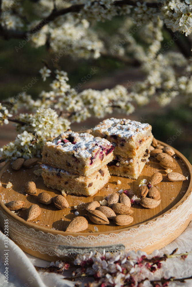 Blueberry Crumble Cake. Easter sweet dessert cake. Black currant cake. Close up view. Selective focus. Crumble cake with blueberries and homemade cottage cheese in blooming trees. Outdoor shooting Blueberry Crumble Cake. Easter sweet dessert cake. Black currant cake. Close up view. Selective focus. Crumble cake with blueberries and homemade cottage cheese in blooming trees. Outdoor shooting
