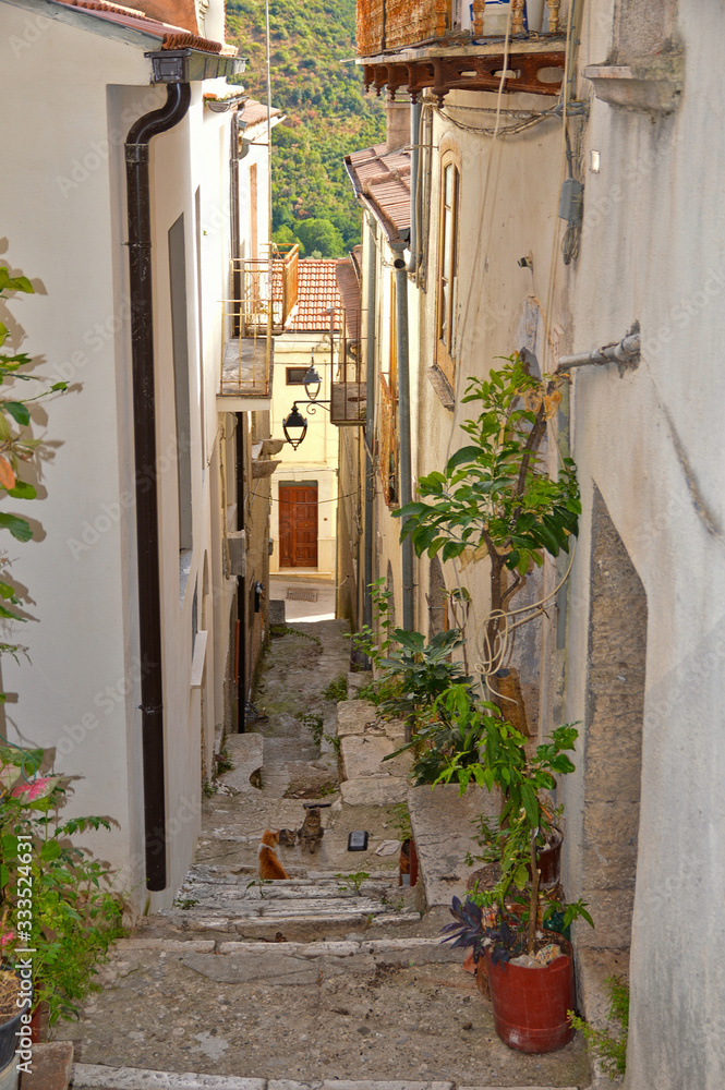 A narrow street between the houses of Monteroduni, a medieval village in the Molise region, Italy