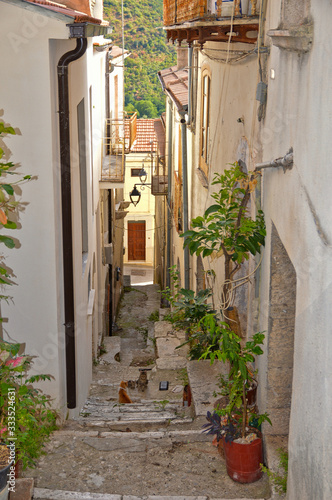 Fototapeta Naklejka Na Ścianę i Meble -  A narrow street between the houses of Monteroduni, a medieval village in the Molise region, Italy
