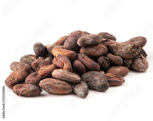 roasted cocoa beans on white background Theobroma cacao