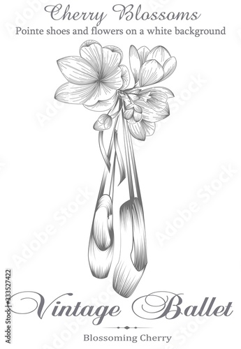 Ballerina Pointe shoes hanging on a branch of cherry blossoms. Design for a postcard, poster, or banner. Illustration in the style of an old engraving with the inscription. Stock vector.