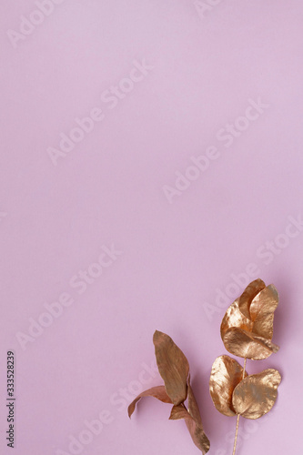 decorative cosmetics for women's beauty and attractiveness