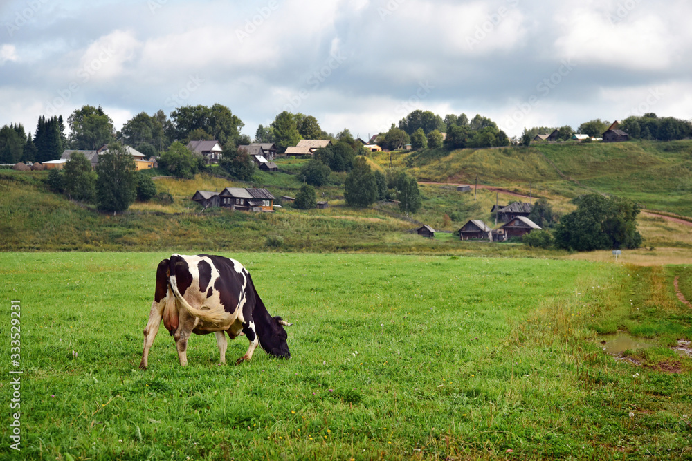 Russian village in the rays of the warm summer sun. Old wooden houses, fields and copses. Russian village in the rays of the warm summer sun. Old wooden houses, fields and copses.