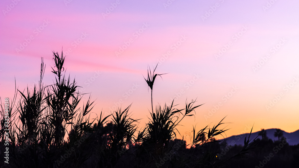 Obraz premium Sunset in the worderful nature park of Guadalhorce mouth. Malaga. Spain.