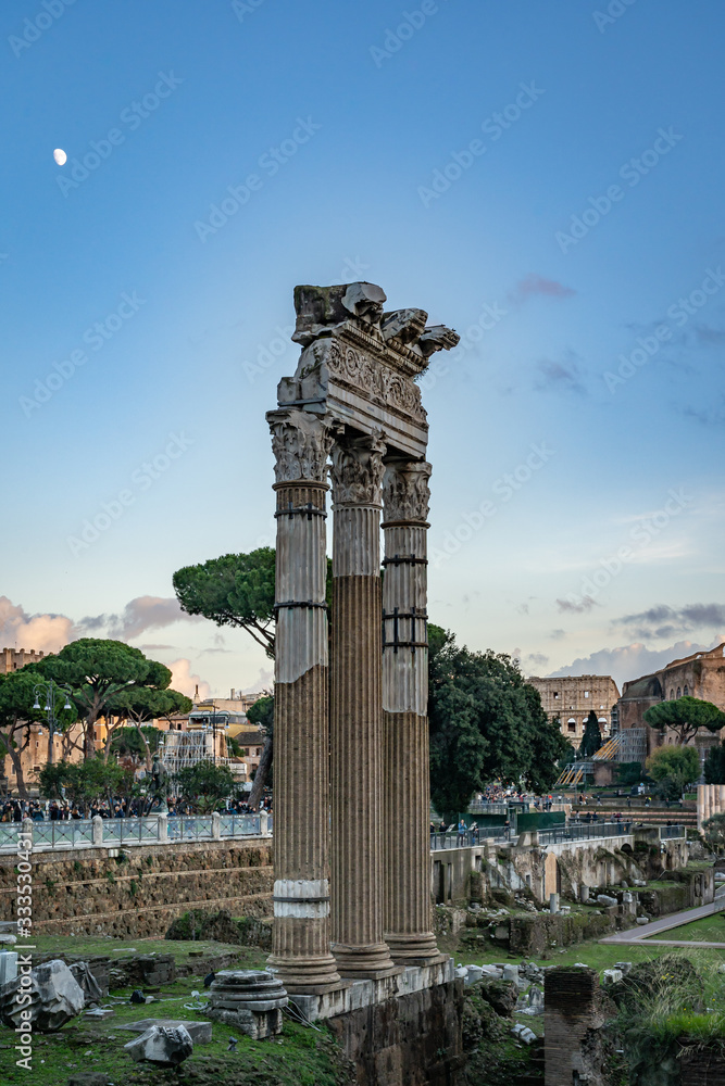 Fototapeta premium The Forum in Rome Italy