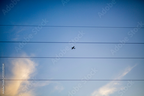 small plane and telephone wires