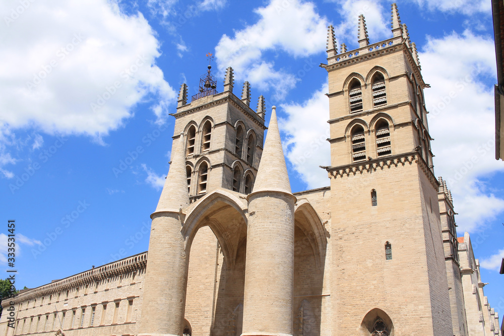 The famous Saint Pierre cathedral in Montpellier, roman catholic church in the historic center of Montpellier city, France