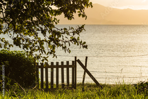wooden fence on the beach