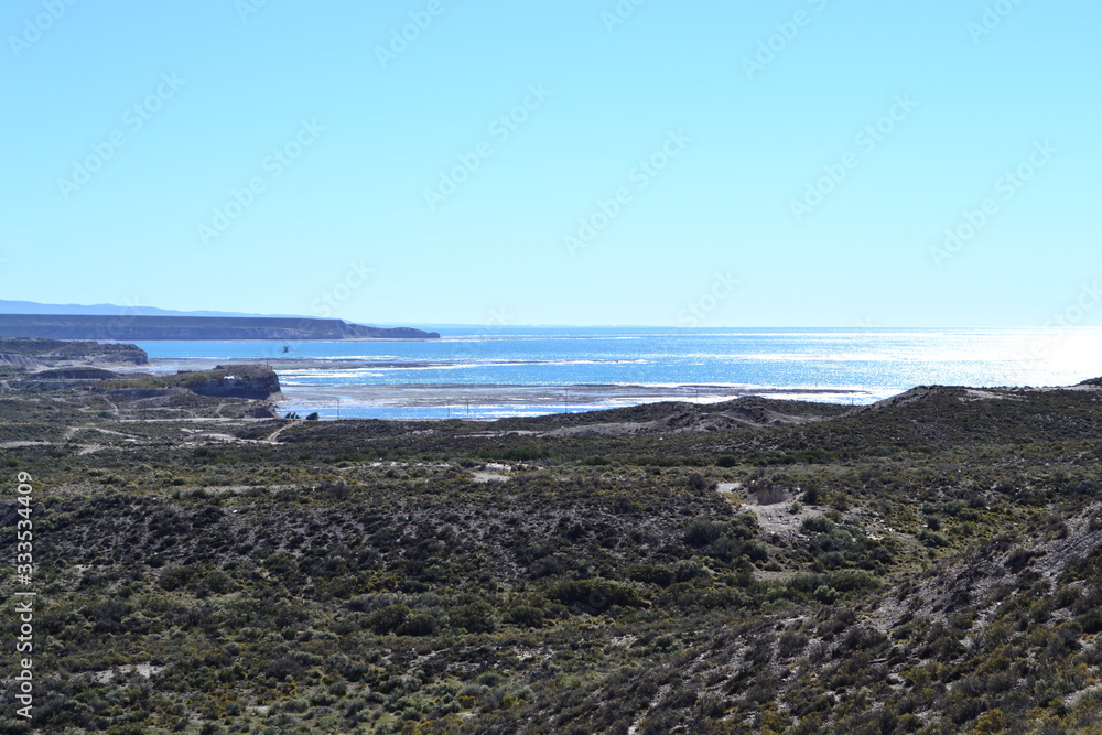 Patagonian coast landscape