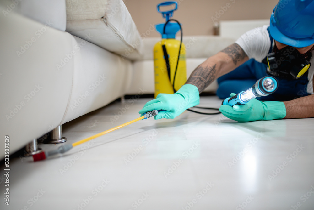 Exterminator in work wear spraying pesticide with sprayer. Exterminator in work wear spraying pesticide with sprayer.