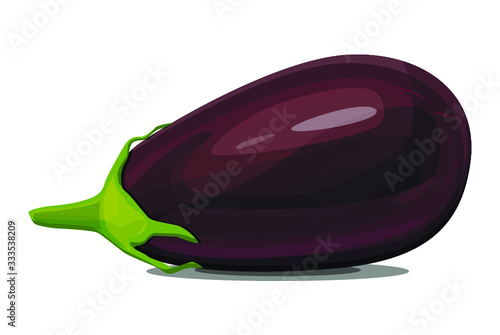  eggplant isolated on white background