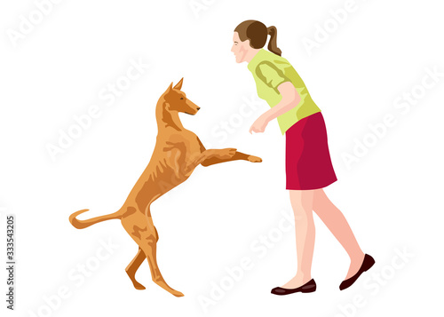 Young woman playing with jumping dog Ibizan Hound in the park. Human and dog friendship. Vector illustration on white background