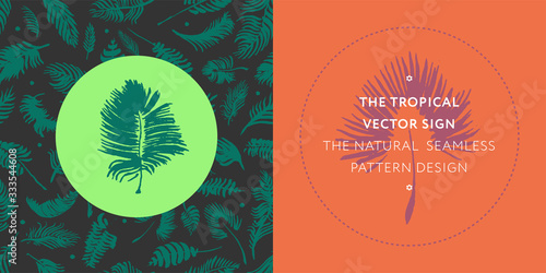 Palm leaves silhouettes pattern. Tropical background for modern fashion banner design. Leaf silhouette, natural wallpaper, trendy eco-fashion backdrop. Palms drawings, ink art, exotic decorations.