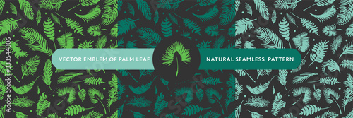 Palm leaves silhouettes pattern. Tropical background for modern fashion banner design. Leaf silhouette, natural wallpaper, trendy eco-fashion backdrop. Palms drawings, ink art, exotic decorations.