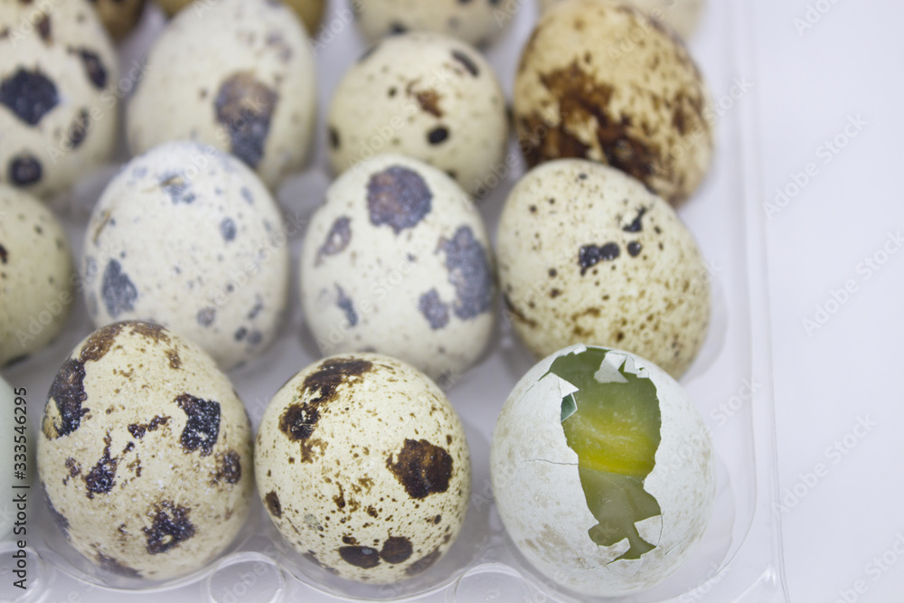 Egg. Quail eggs in a cookie cutter on a white isolated background. Healthy lifestyle concept. copyspace