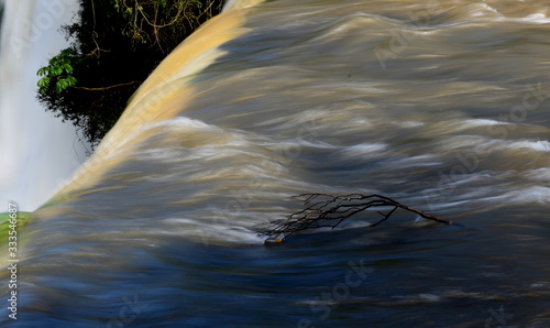 Photos Brunch of a tree almost falling from a the waterfall in Iguazu