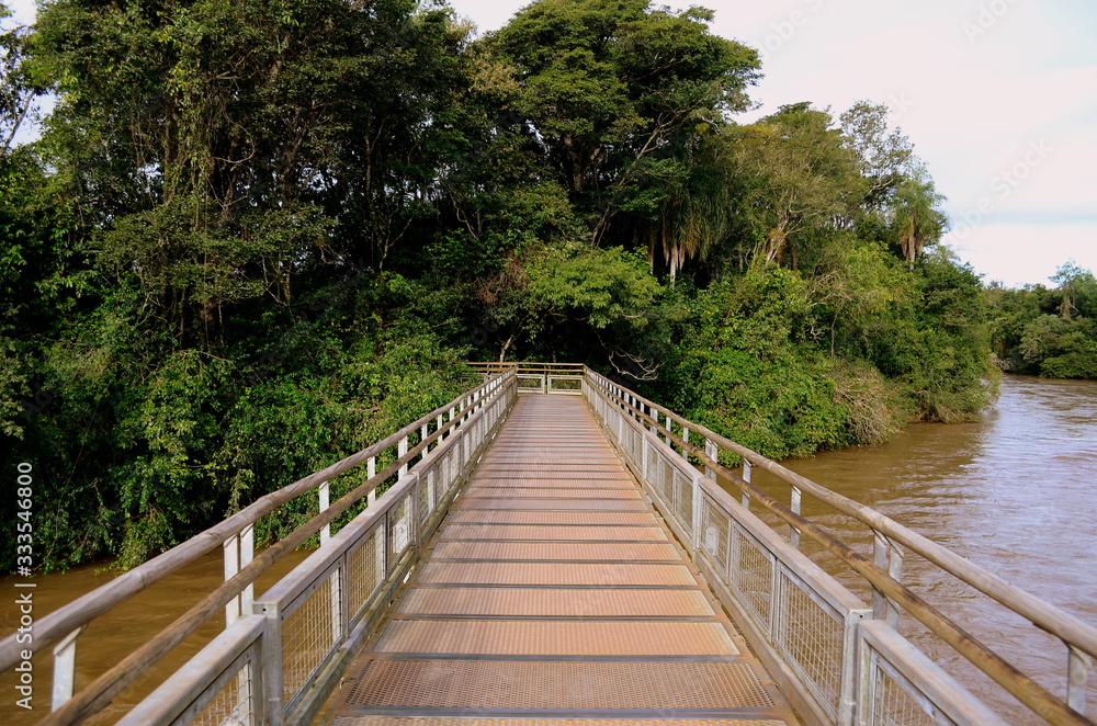 A path straight to the middle of the jungle A path straight to the middle of the jungle
