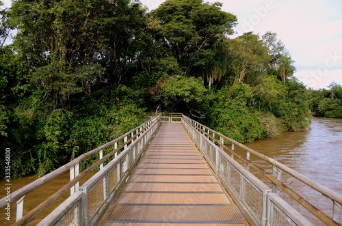 Fotografi A path straight to the middle of the jungle