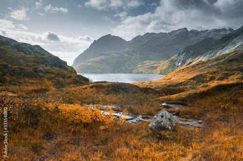 Fototapeta Naklejka Na Ścianę i Meble -  Mountain autumn landscape with a lake, Lofoten Islands Norway