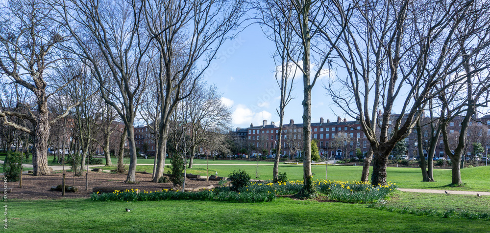 Fototapeta premium Merrion Square Park, Dublin, Ireland, dating to the early 19th century,once a private park for the residents of the Georgian Square around it, it is now managed by Dublin City Council.