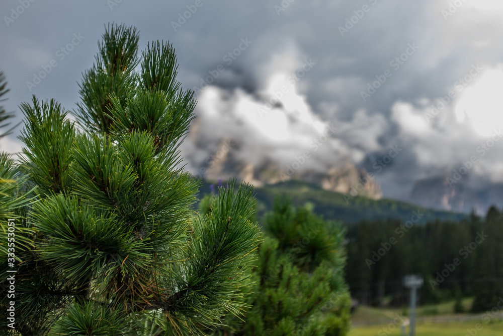 monte pana monte pana