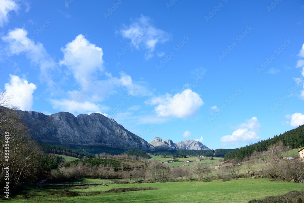 Landscape of mountains forests and meadows on sunny day with blue skies